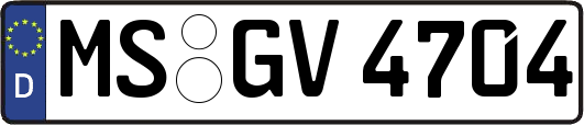 MS-GV4704