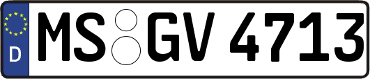 MS-GV4713