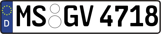 MS-GV4718
