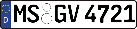 MS-GV4721