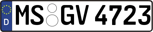 MS-GV4723