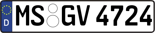 MS-GV4724