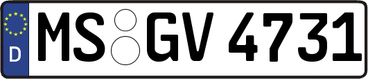 MS-GV4731