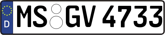MS-GV4733