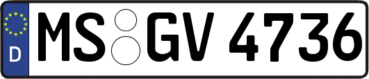 MS-GV4736