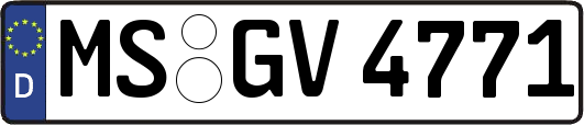 MS-GV4771