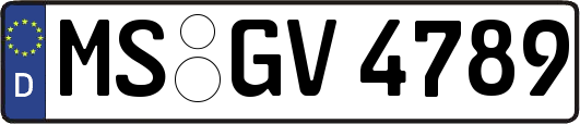 MS-GV4789
