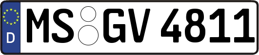 MS-GV4811