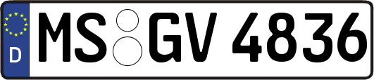 MS-GV4836