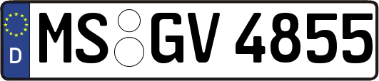 MS-GV4855