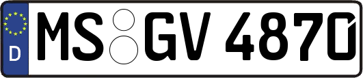 MS-GV4870