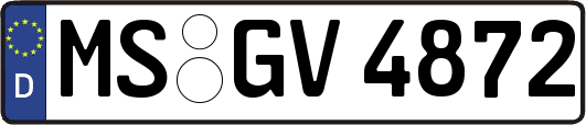 MS-GV4872