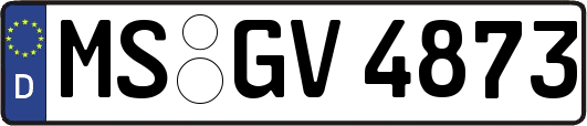 MS-GV4873