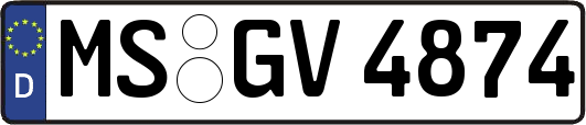MS-GV4874