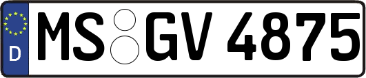 MS-GV4875