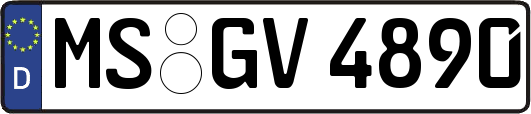 MS-GV4890