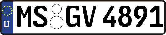 MS-GV4891