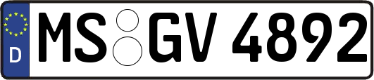 MS-GV4892