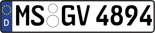 MS-GV4894