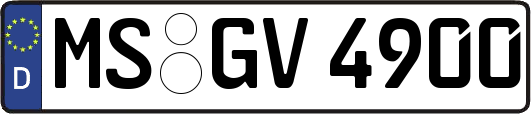 MS-GV4900