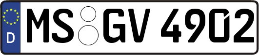 MS-GV4902