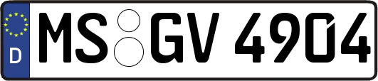 MS-GV4904