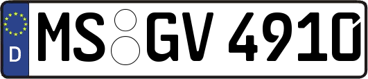 MS-GV4910