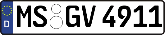 MS-GV4911
