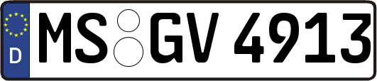 MS-GV4913