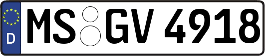 MS-GV4918