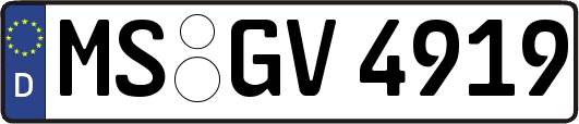 MS-GV4919