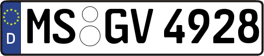MS-GV4928