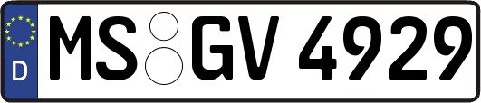 MS-GV4929