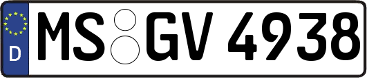 MS-GV4938