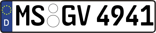 MS-GV4941