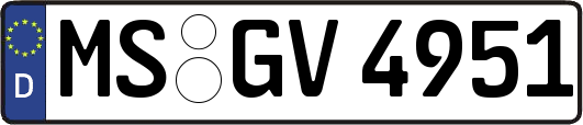 MS-GV4951