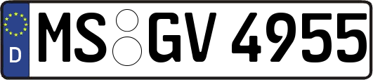 MS-GV4955