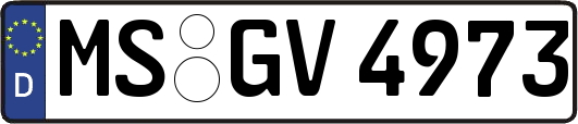 MS-GV4973