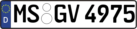 MS-GV4975