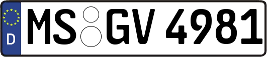 MS-GV4981