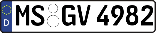 MS-GV4982
