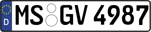MS-GV4987