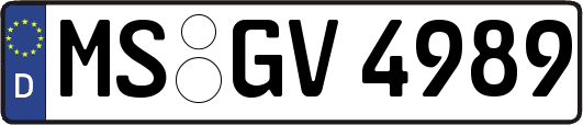 MS-GV4989