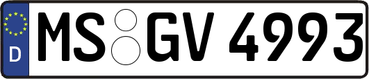 MS-GV4993