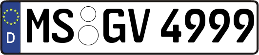 MS-GV4999