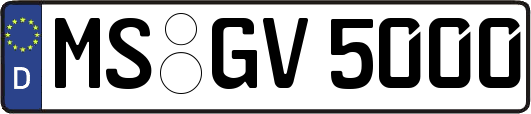 MS-GV5000