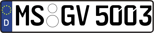 MS-GV5003