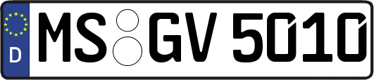 MS-GV5010