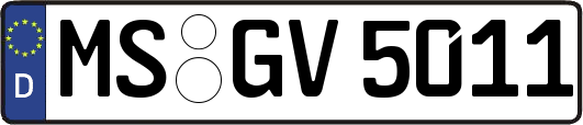MS-GV5011