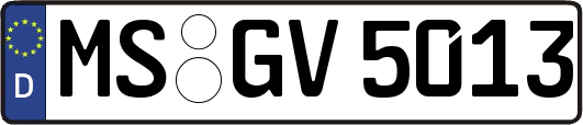 MS-GV5013